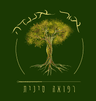 אור אננדה רפואה סינית